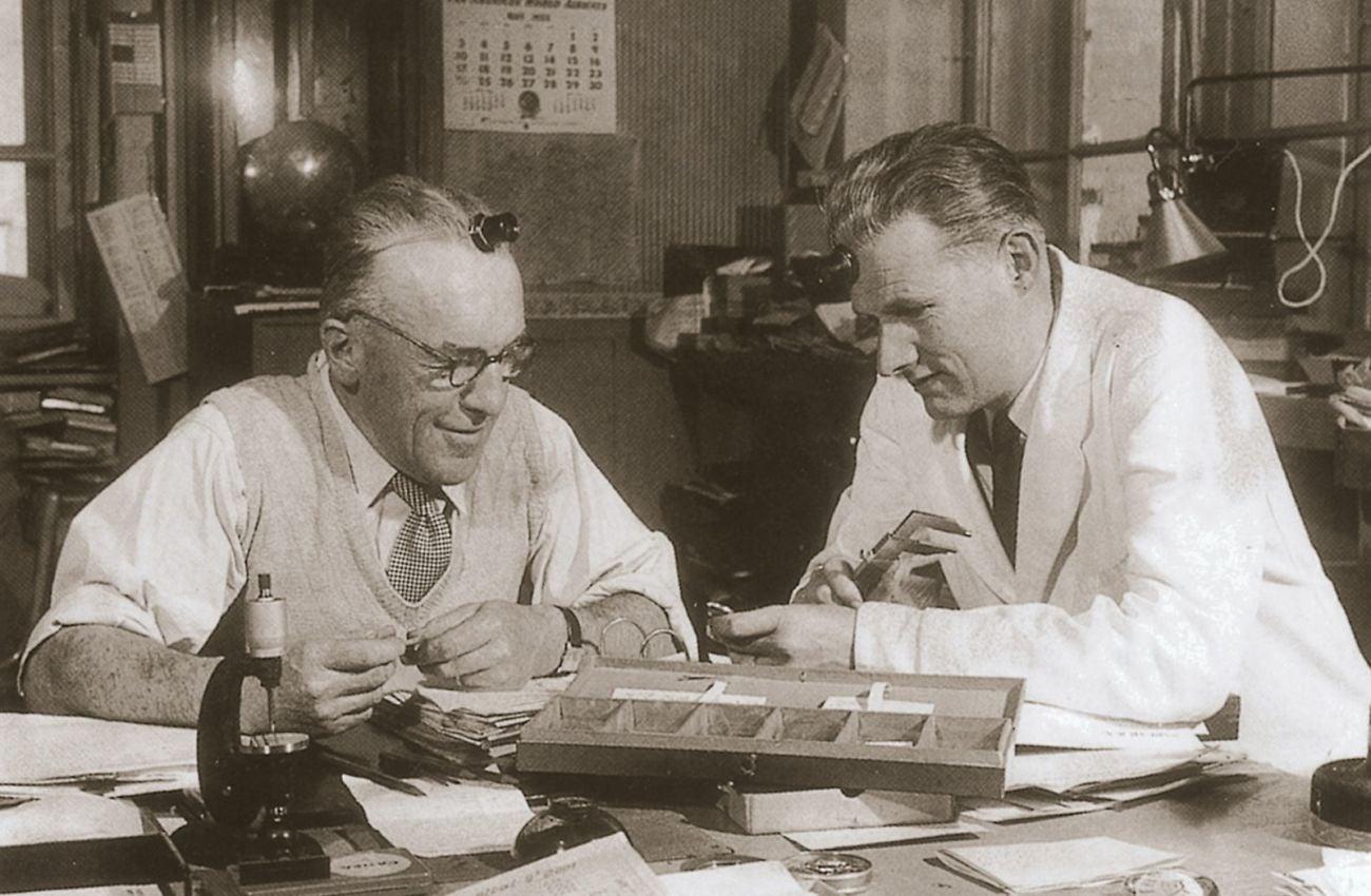 Audemars Piguet History: From Vallée de Joux Craftsmanship to the Royal Oak